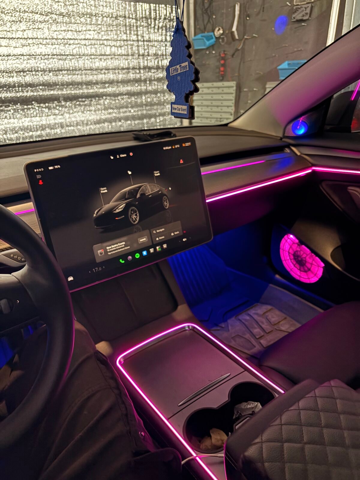 Tesla Model 3 ambient